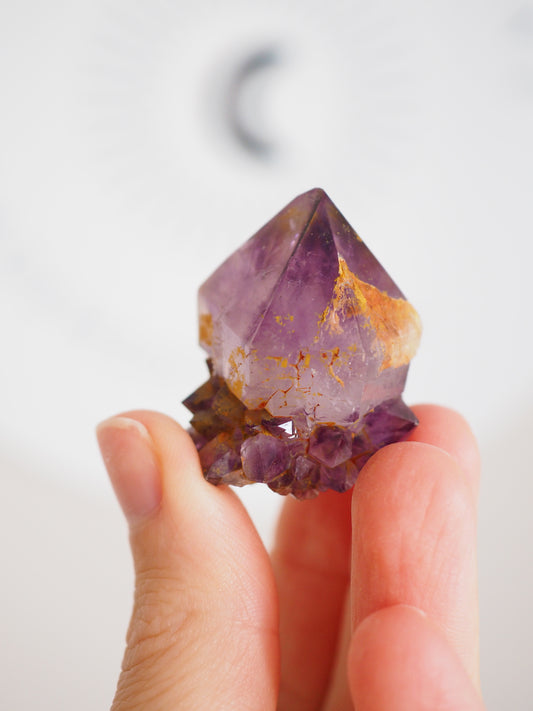 Kaktus Quarz Deep Violett . Spirit Quarz - aus Boekenhouthoek. Mpumalanga. Südafrika HIGH QUALITY