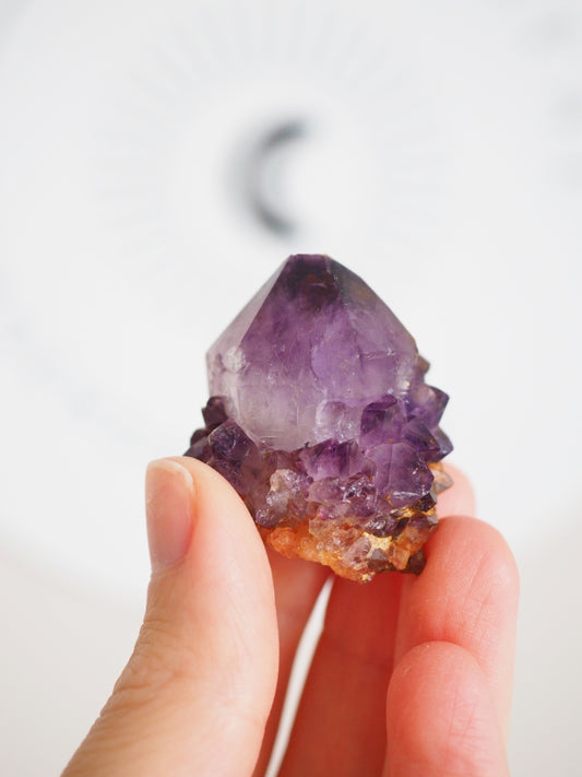 Kaktus Quarz Deep Violett . Spirit Quarz - aus Boekenhouthoek. Mpumalanga. Südafrika HIGH QUALITY