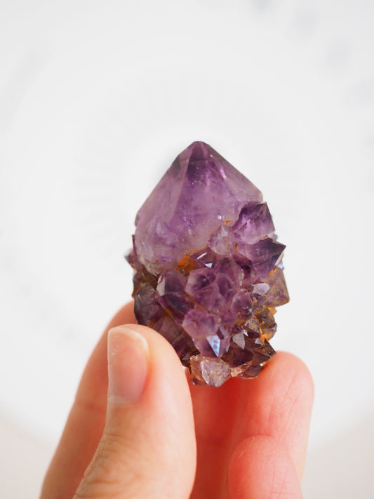 Kaktus Quarz Deep Violett . Spirit Quarz - aus Boekenhouthoek. Mpumalanga. Südafrika HIGH QUALITY