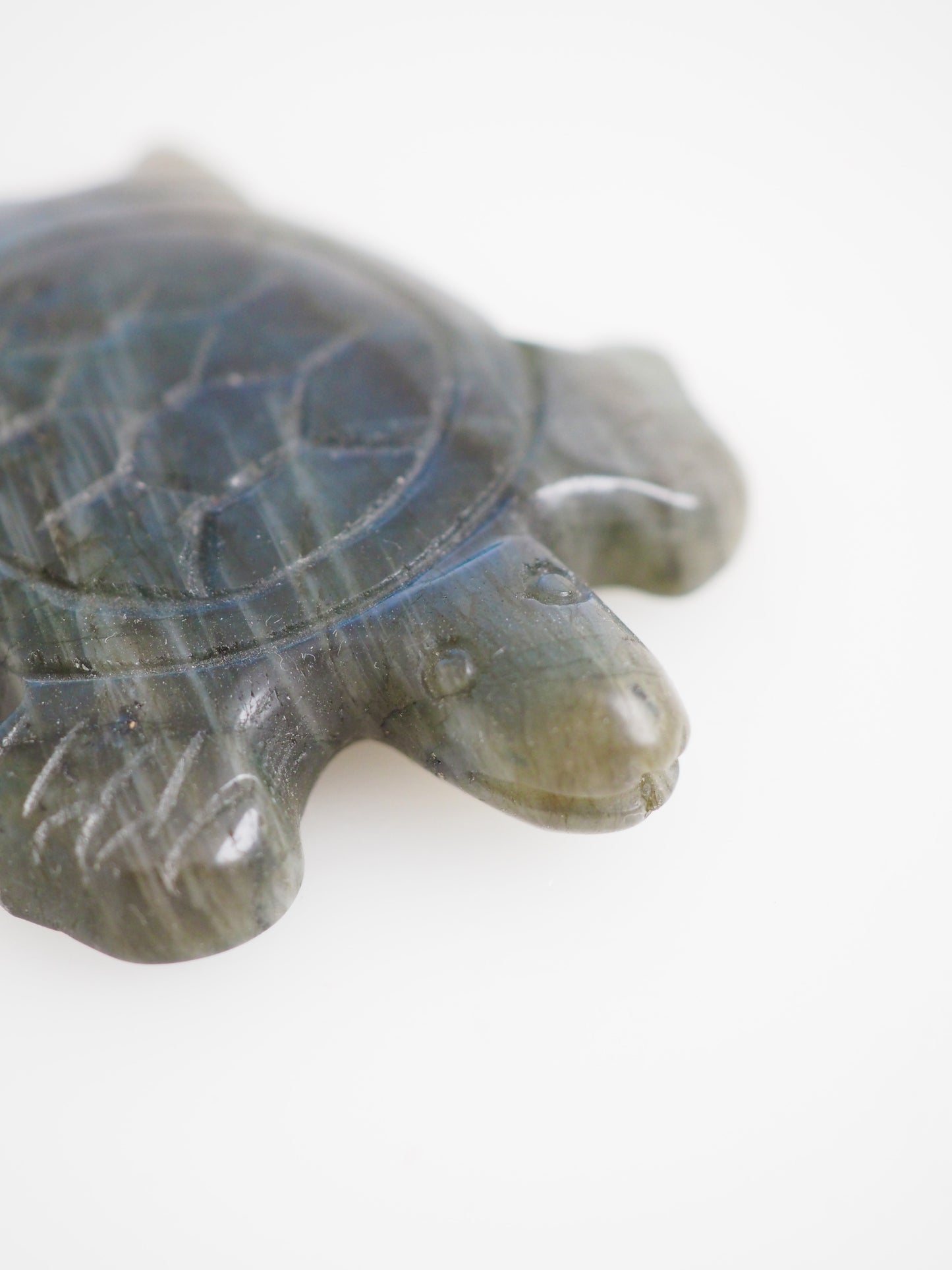 Blaue Labradorit Schilkröte - aus Madagascar Handcarved High Quality