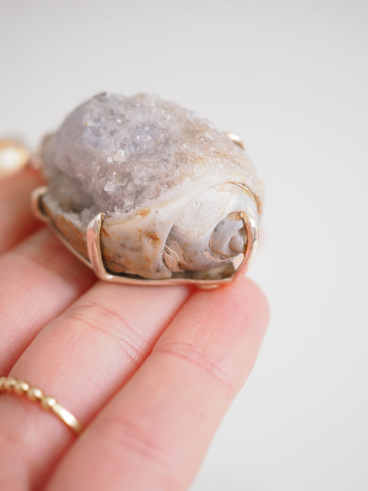 Anhänger Kristallisierte Schnecke / Muschel 925 Sterlingsilber 65Mio Jahre alt - aus Indien SUPER RARE