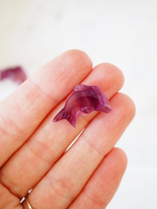 Regenbogen Fluorit Delfin Gravur . Mini Carving ca. 1.5 cm Carving - aus China
