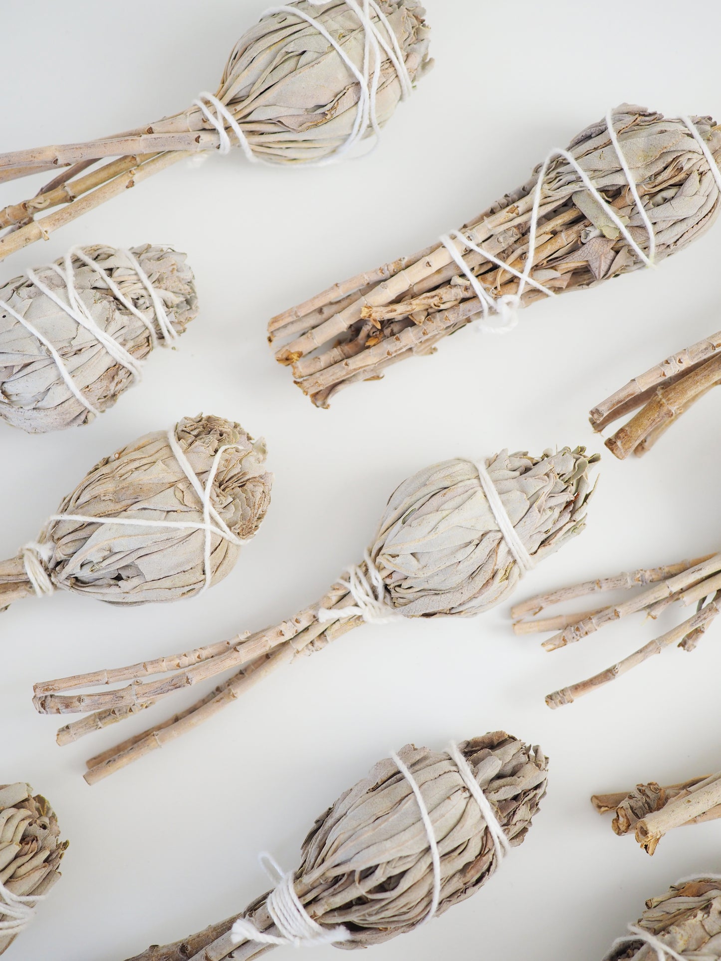 Weisser Salbei . White Sage . Biologischer Abbau aus Californien