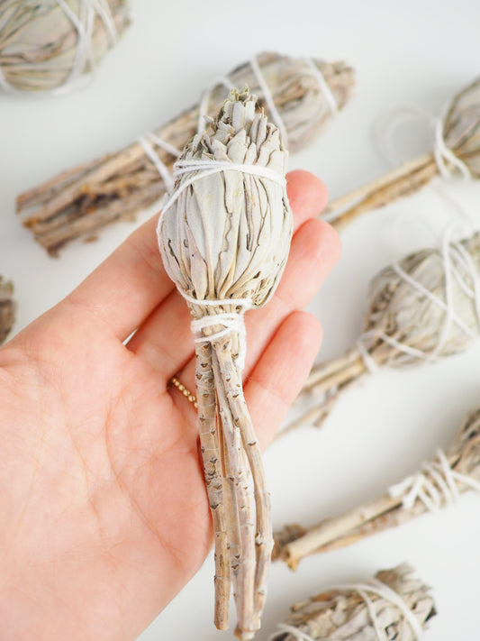 Weisser Salbei . White Sage . Biologischer Abbau aus Californien