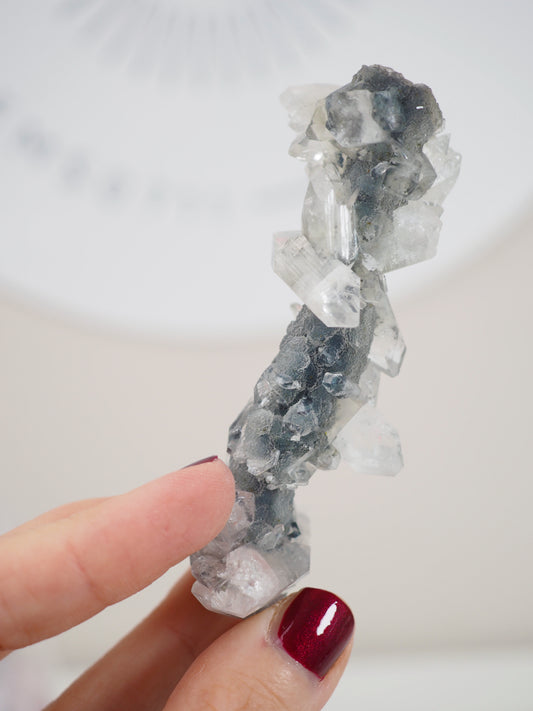 Schwarzer Chalcedon mit Apophylite Stab - aus Indien RARE