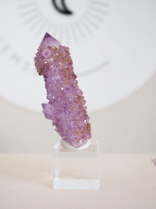 Kaktus Quarz . Spirit Quartz - aus Boekenhouthoek. Mpumalanga. Südafrika HIGH QUALITY