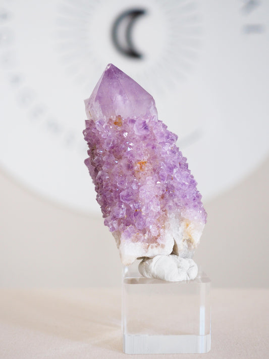 Kaktus Quarz . Spirit Quartz - aus Boekenhouthoek. Mpumalanga. Südafrika HIGH QUALITY