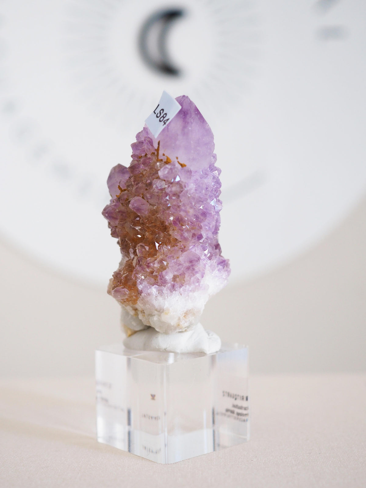 Kaktus Quarz . Spirit Quartz - aus Boekenhouthoek. Mpumalanga. Südafrika HIGH QUALITY