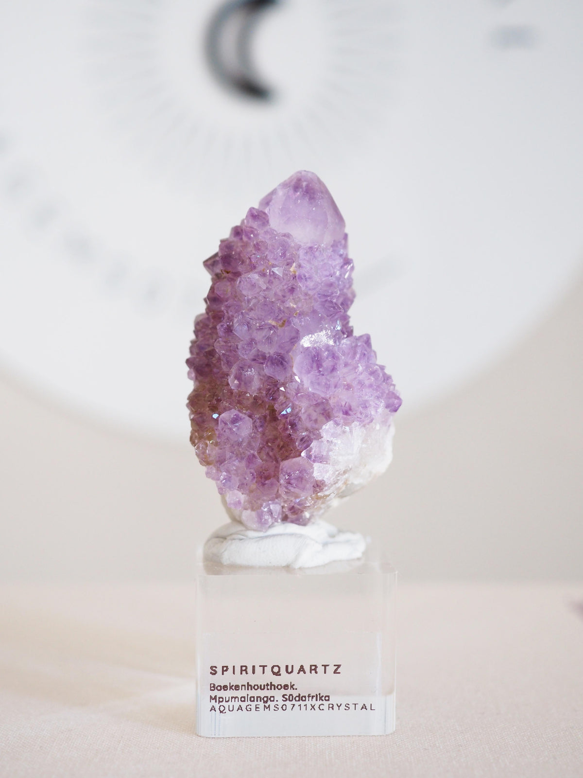 Kaktus Quarz . Spirit Quartz - aus Boekenhouthoek. Mpumalanga. Südafrika HIGH QUALITY