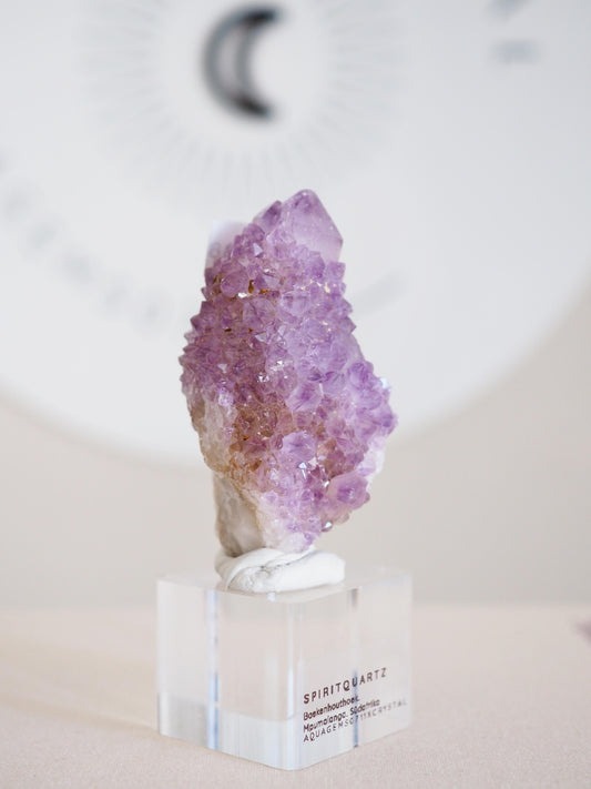 Kaktus Quarz . Spirit Quartz - aus Boekenhouthoek. Mpumalanga. Südafrika HIGH QUALITY