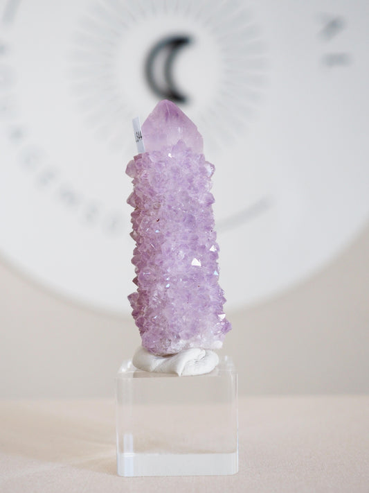 Kaktus Quarz . Spirit Quartz - aus Boekenhouthoek. Mpumalanga. Südafrika HIGH QUALITY