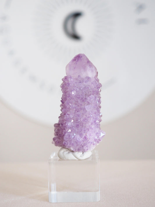 Kaktus Quarz . Spirit Quartz - aus Boekenhouthoek. Mpumalanga. Südafrika HIGH QUALITY