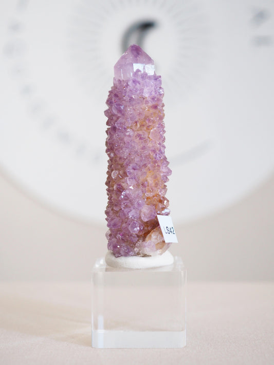 Kaktus Quarz . Spirit Quartz - aus Boekenhouthoek. Mpumalanga. Südafrika HIGH QUALITY