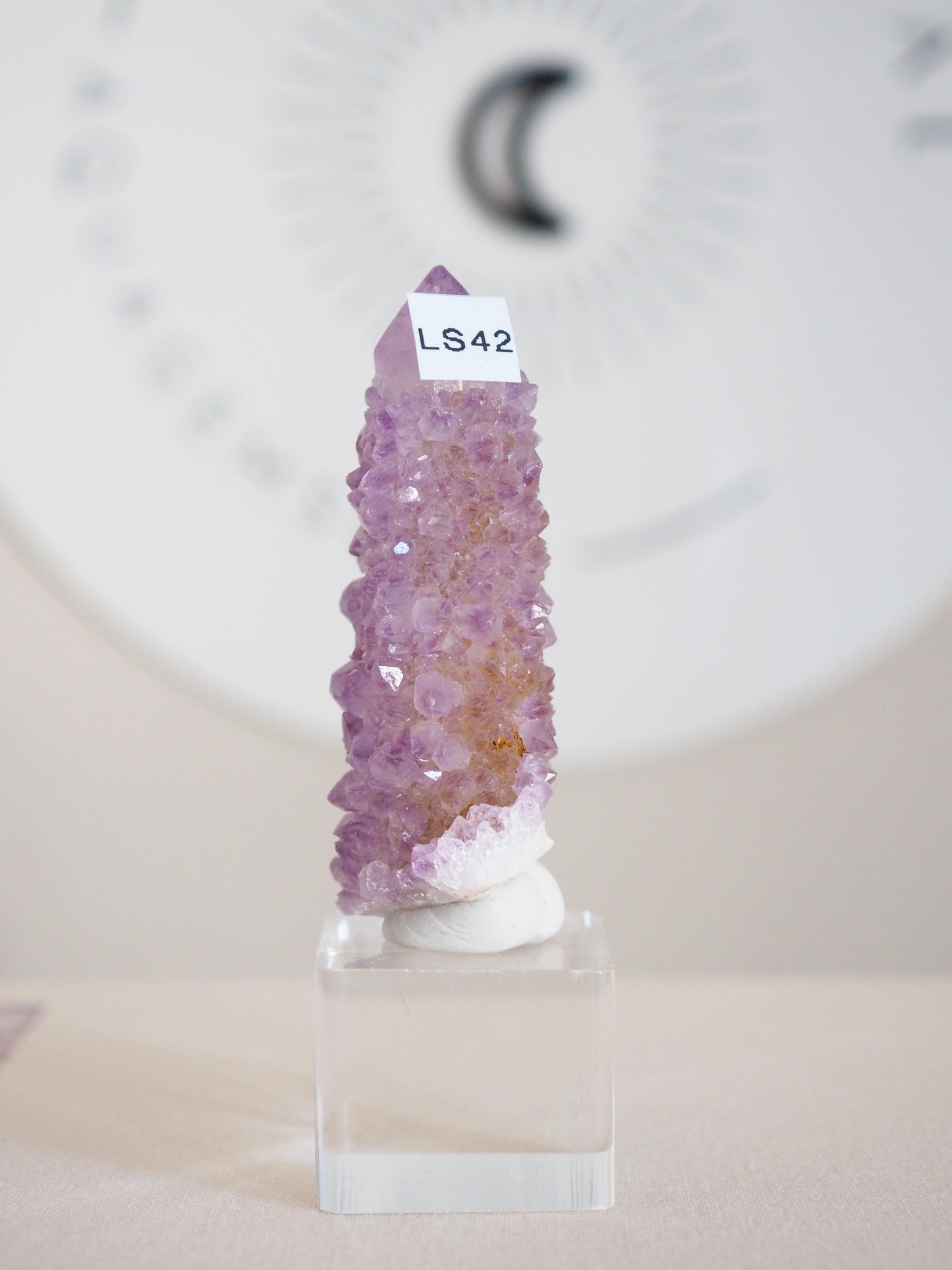 Amethyst Kaktus Quarz . Spirit Quartz - aus Boekenhouthoek. Mpumalanga. Südafrika HIGH QUALITY