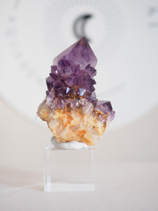 Amethyst Kaktus Quarz Cluster Deep Violett . Spirit Quartz - aus Boekenhouthoek. Mpumalanga. Südafrika HIGH QUALITY