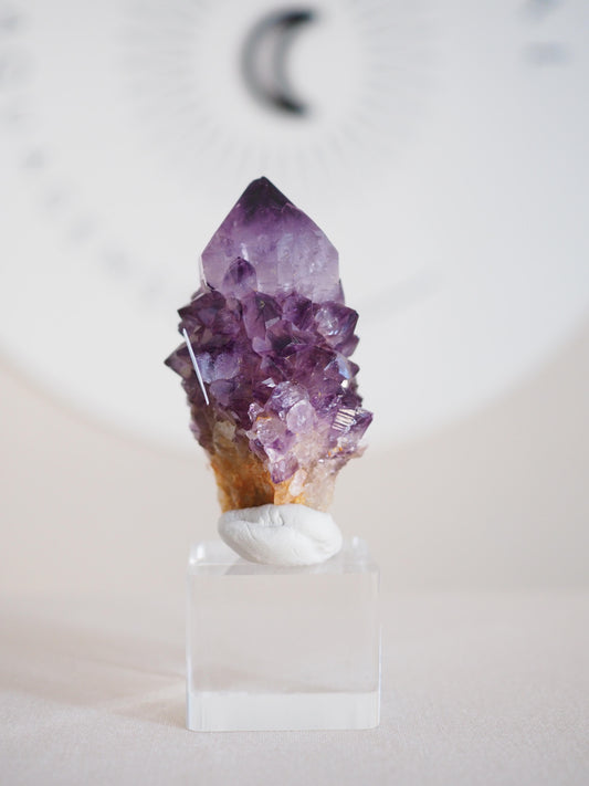 Amethyst Kaktus Quarz Deep Violett . Spirit Quartz - aus Boekenhouthoek. Mpumalanga. Südafrika HIGH QUALITY
