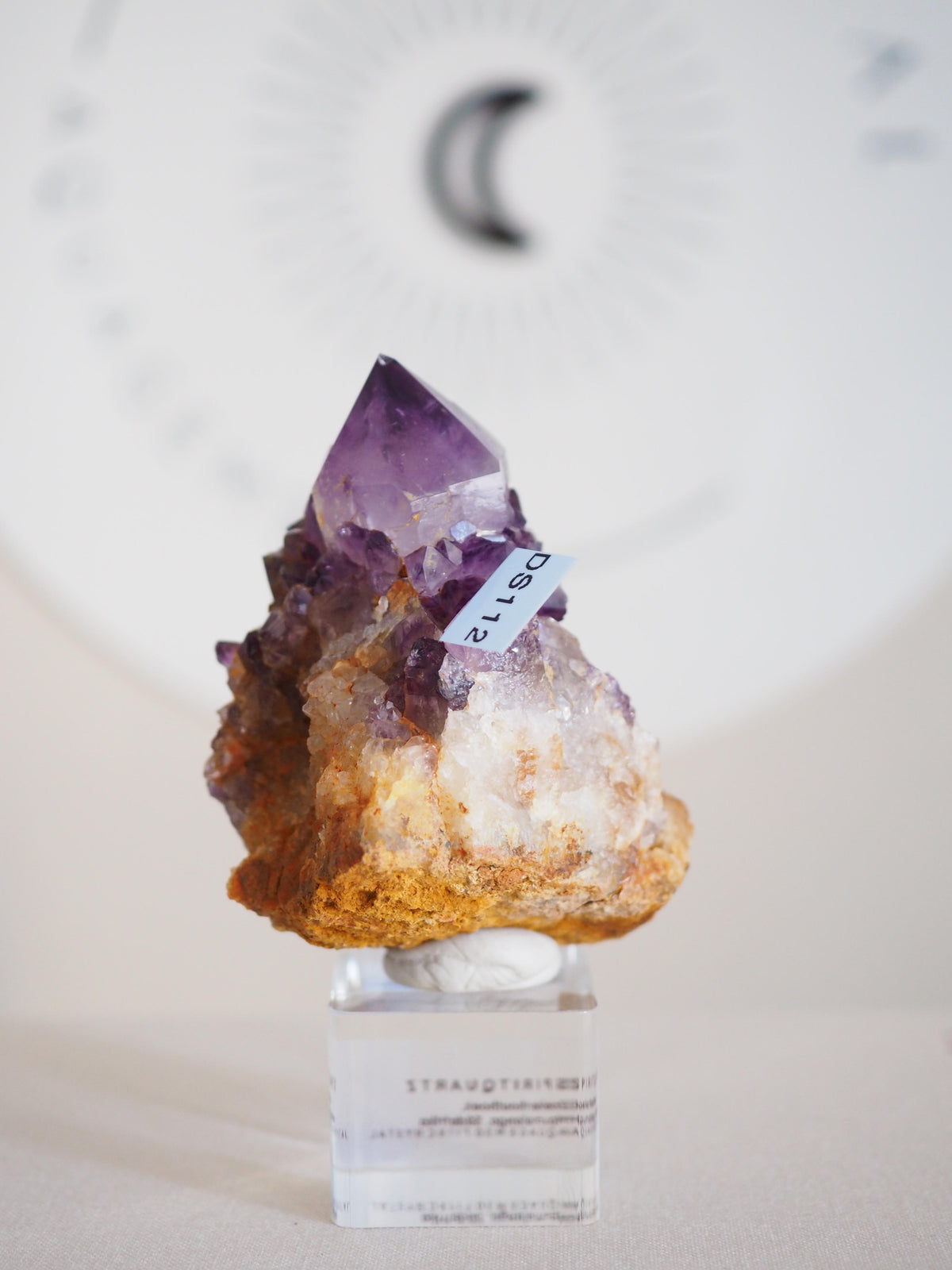 Amethyst Kaktus Quarz Deep Violett . Spirit Quartz - aus Boekenhouthoek. Mpumalanga. Südafrika HIGH QUALITY