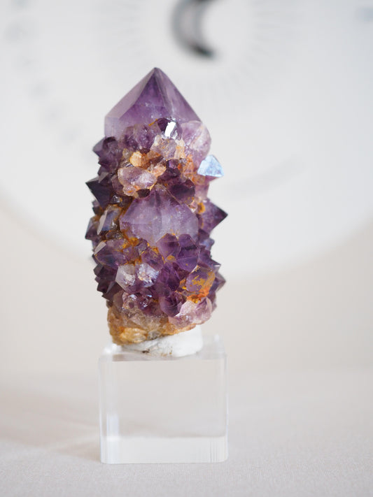 Amethyst Kaktus Quarz Deep Violett . Spirit Quartz - aus Boekenhouthoek. Mpumalanga. Südafrika HIGH QUALITY