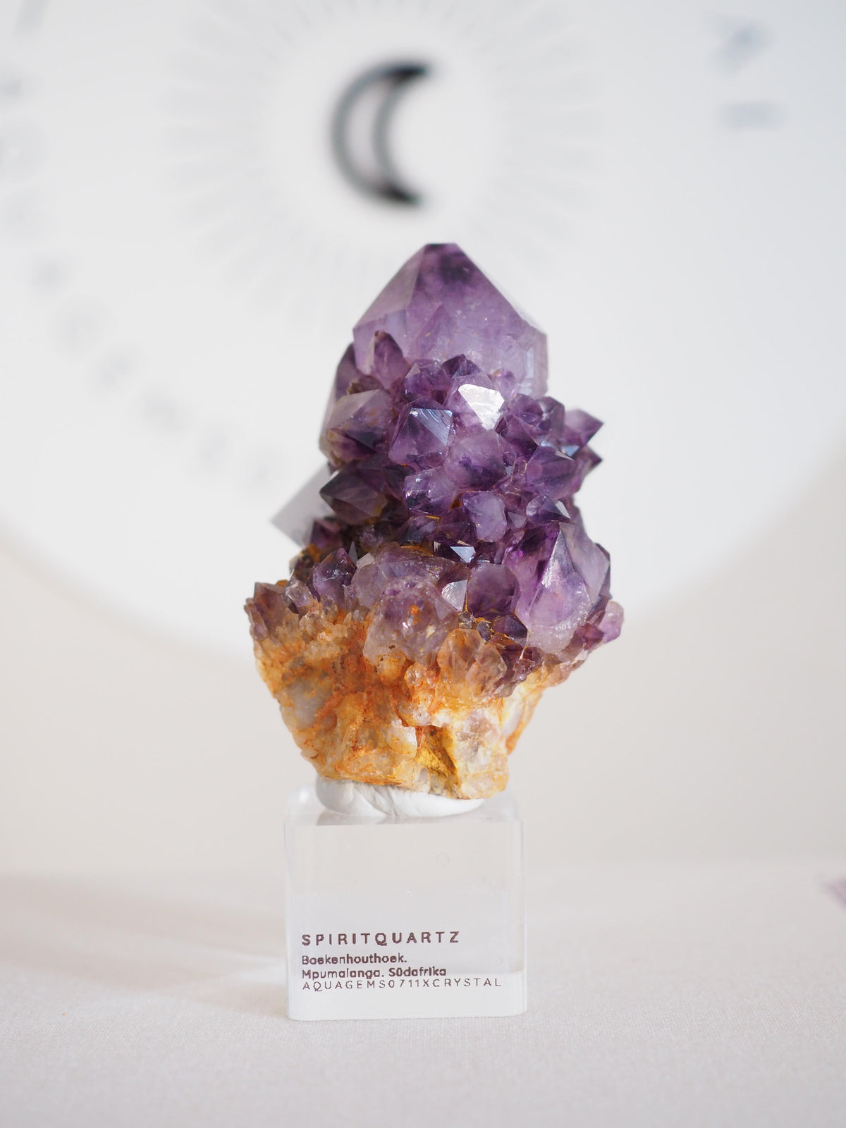Amethyst Kaktus Quarz Deep Violett . Spirit Quartz - aus Boekenhouthoek. Mpumalanga. Südafrika HIGH QUALITY