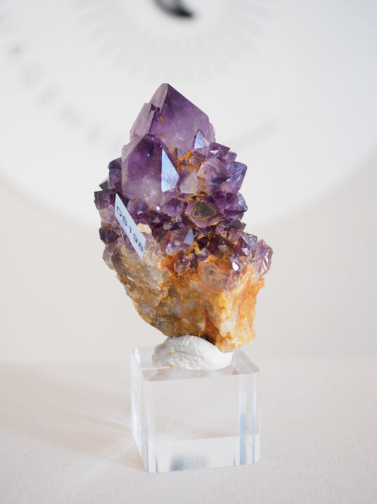 Amethyst Kaktus Quarz Deep Violett . Spirit Quartz - aus Boekenhouthoek. Mpumalanga. Südafrika HIGH QUALITY