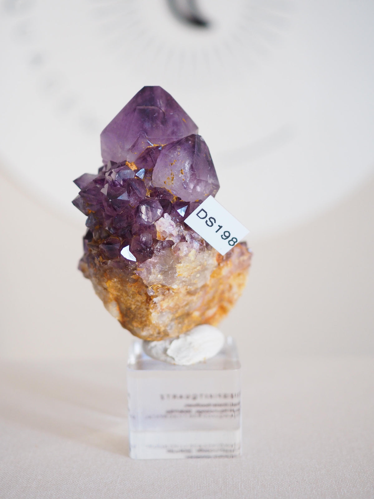 Amethyst Kaktus Quarz Deep Violett . Spirit Quartz - aus Boekenhouthoek. Mpumalanga. Südafrika HIGH QUALITY