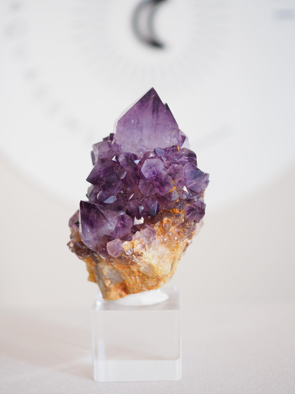 Amethyst Kaktus Quarz Deep Violett . Spirit Quartz - aus Boekenhouthoek. Mpumalanga. Südafrika HIGH QUALITY