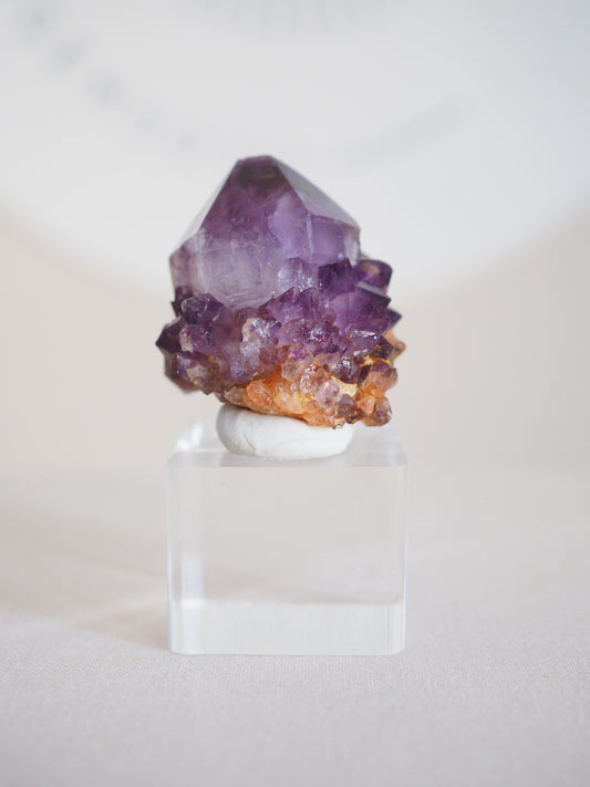 Amethyst Kaktus Quarz Deep Violett . Spirit Quartz - aus Boekenhouthoek. Mpumalanga. Südafrika HIGH QUALITY