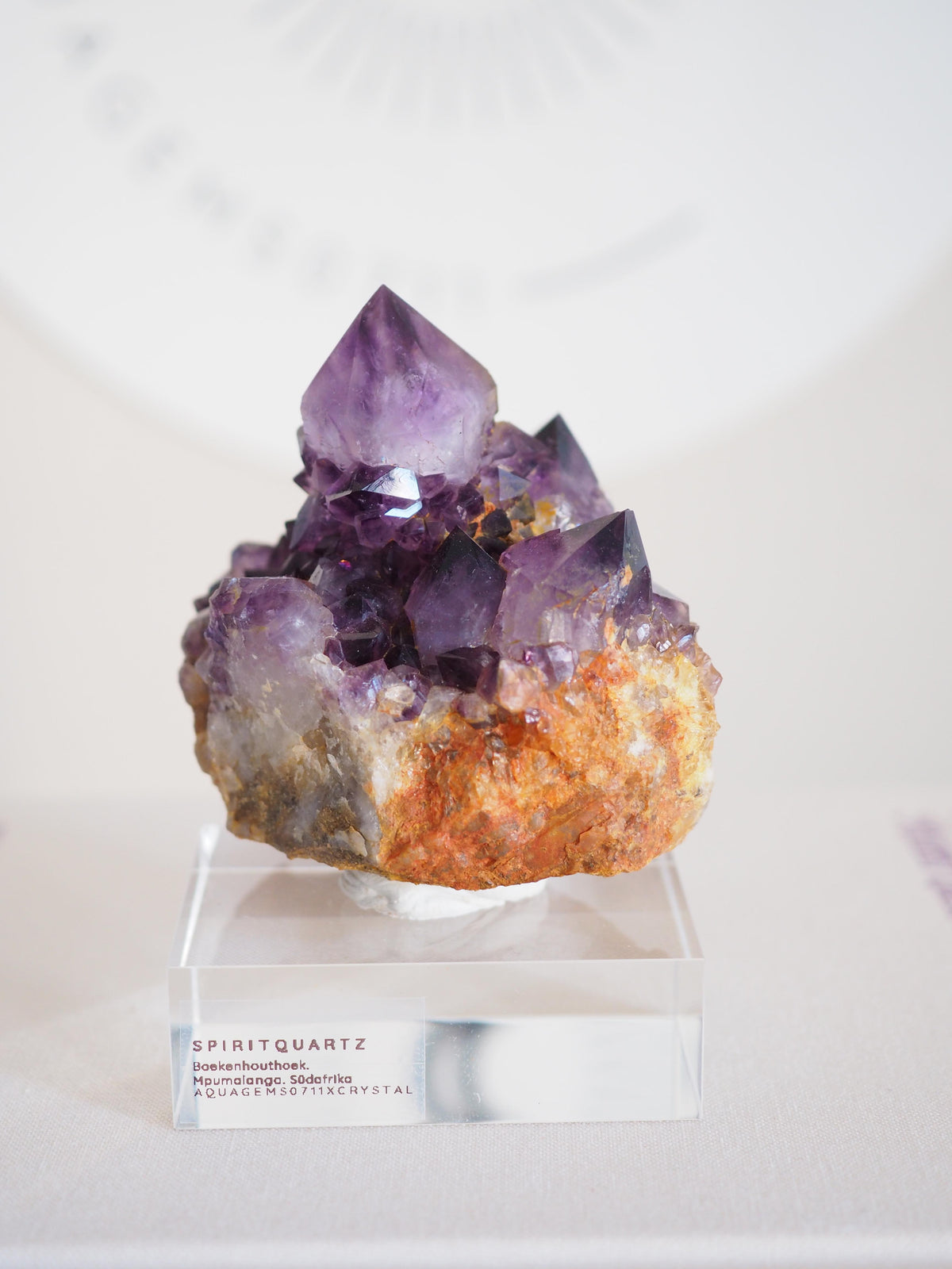Amethyst Kaktus Quarz Cluster Deep Violett . Spirit Quartz - aus Boekenhouthoek. Mpumalanga. Südafrika HIGH QUALITY