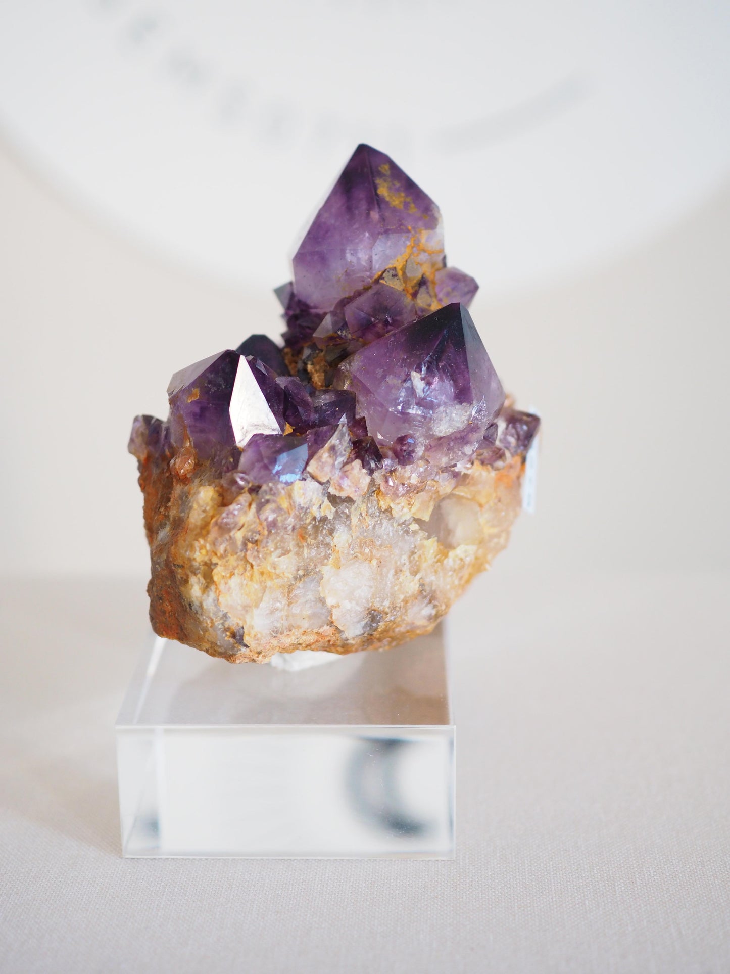Amethyst Kaktus Quarz Cluster Deep Violett . Spirit Quartz - aus Boekenhouthoek. Mpumalanga. Südafrika HIGH QUALITY