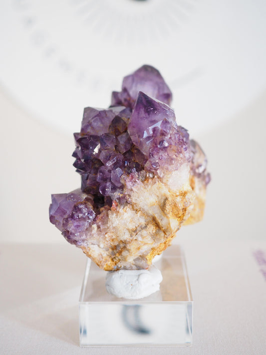Amethyst Kaktus Quarz Cluster Deep Violett . Spirit Quartz - aus Boekenhouthoek. Mpumalanga. Südafrika HIGH QUALITY
