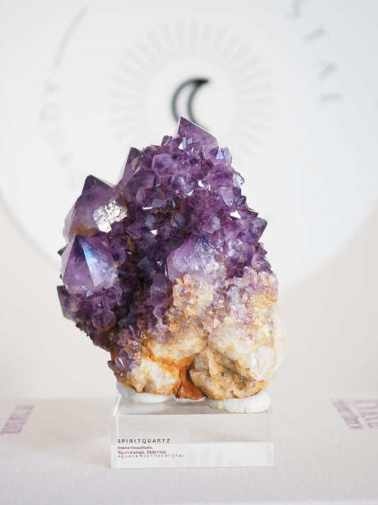 Amethyst Kaktus Quarz Cluster Deep Violett . Spirit Quartz - aus Boekenhouthoek. Mpumalanga. Südafrika HIGH QUALITY