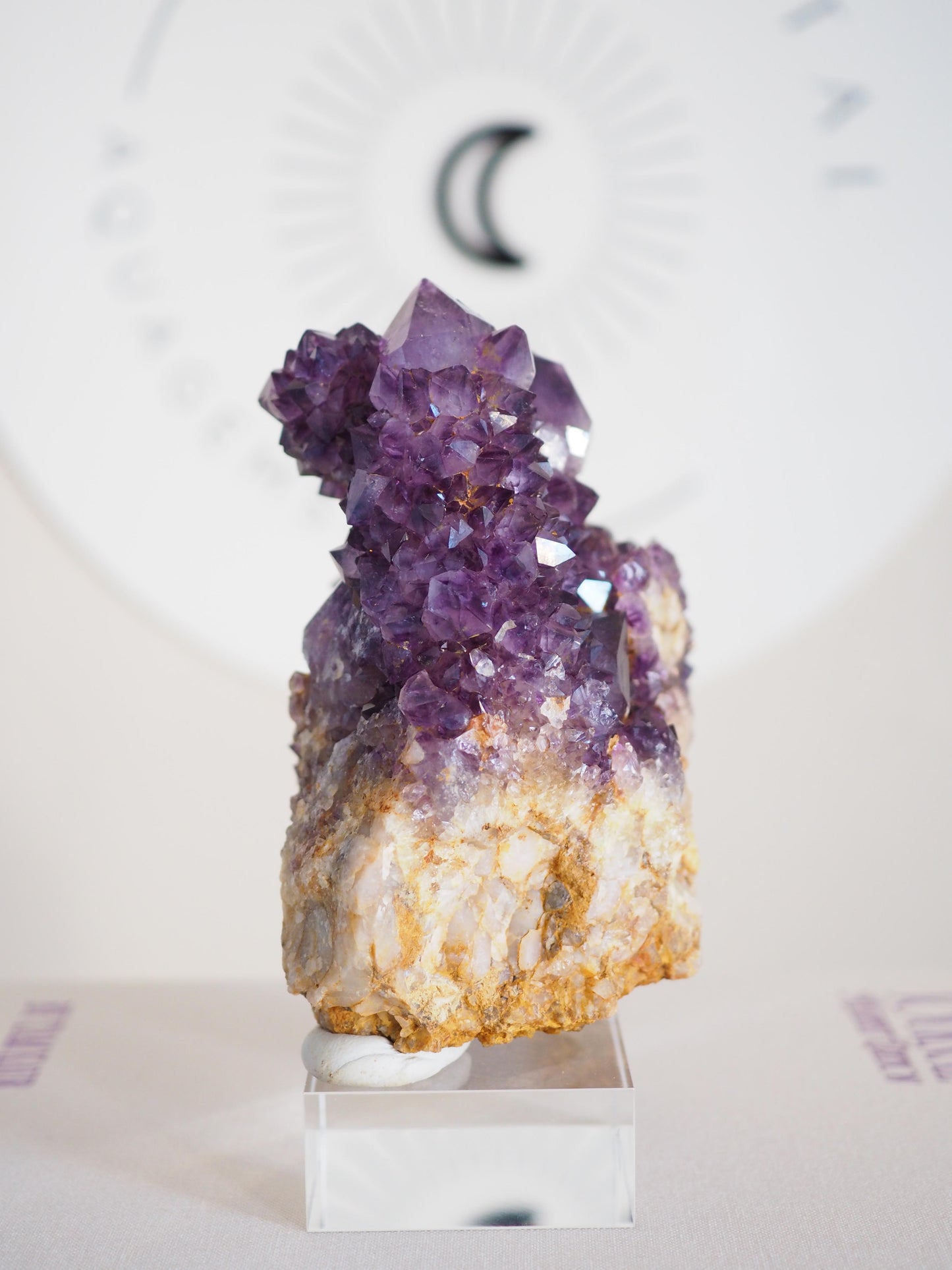 Amethyst Kaktus Quarz Cluster Deep Violett . Spirit Quartz - aus Boekenhouthoek. Mpumalanga. Südafrika HIGH QUALITY