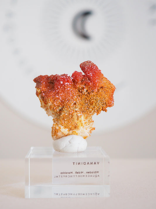 Vanadinit X Baryt Specimen - aus Mibladen Bergbau Bezirk . Midelt. Marokko HIGH QUALITY