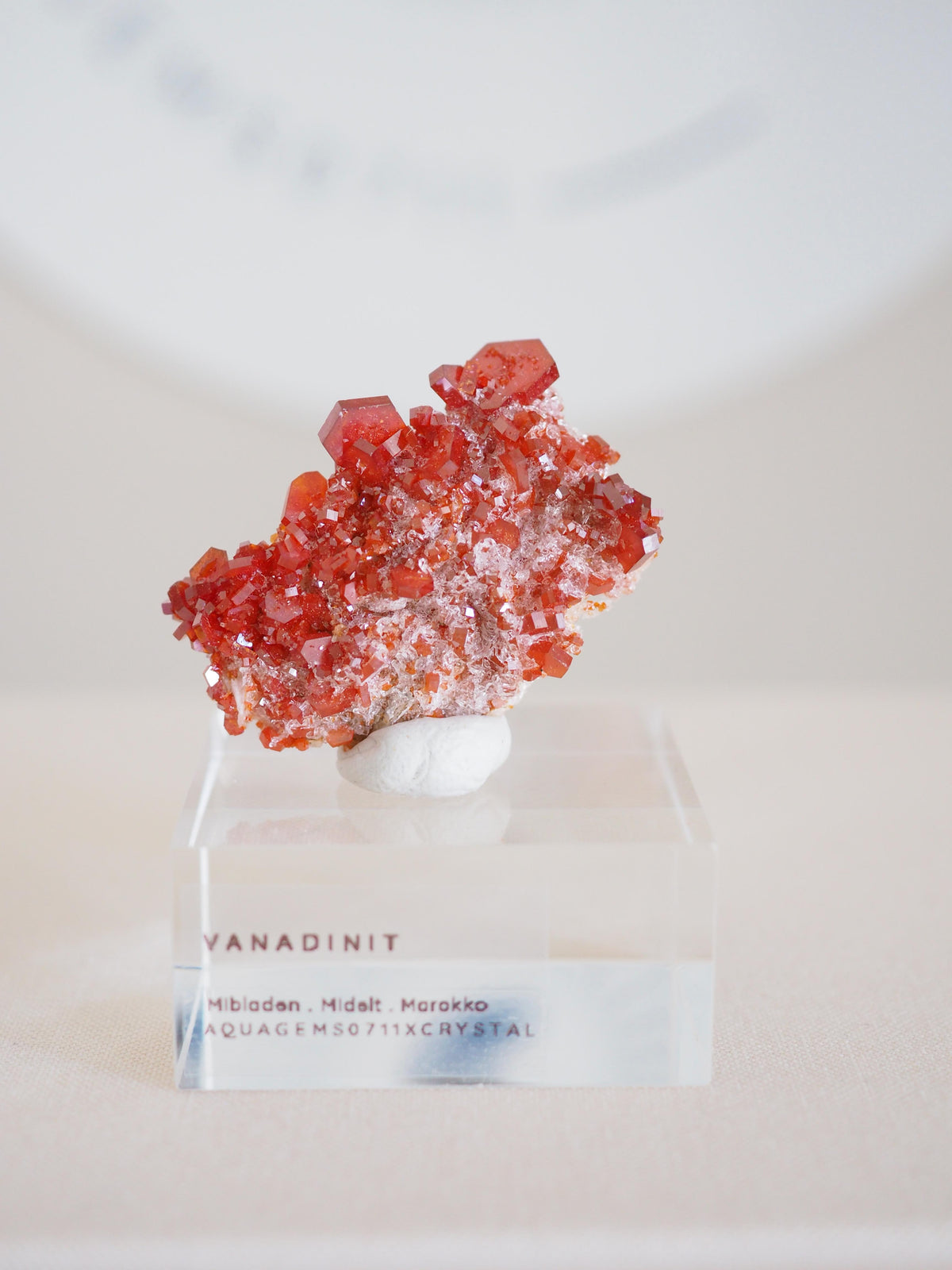 Vanadinit X Baryt Specimen - aus Mibladen Bergbau Bezirk . Midelt. Marokko HIGH QUALITY