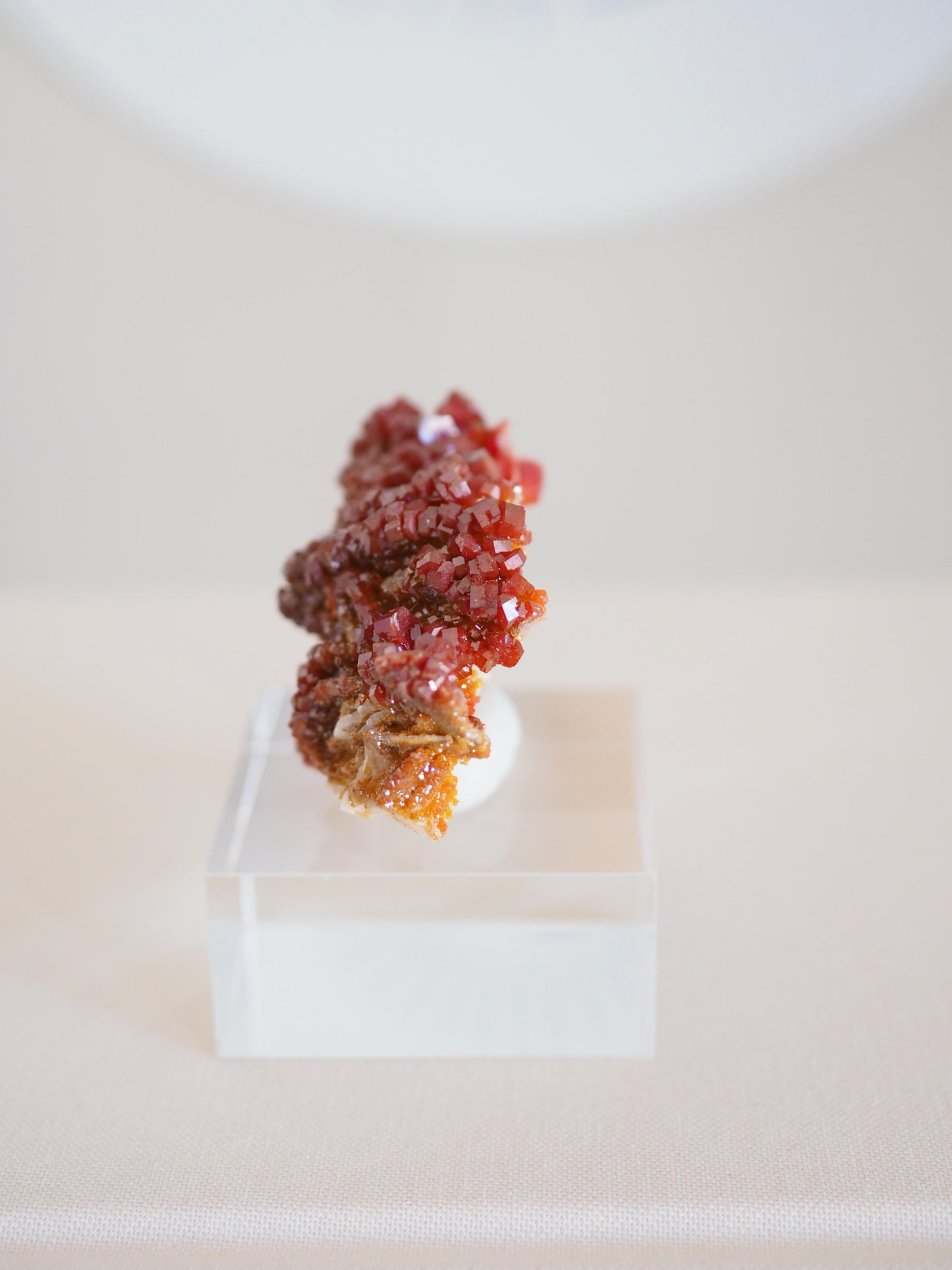 Vanadinit X Baryt Specimen - aus Mibladen Bergbau Bezirk . Midelt. Marokko HIGH QUALITY