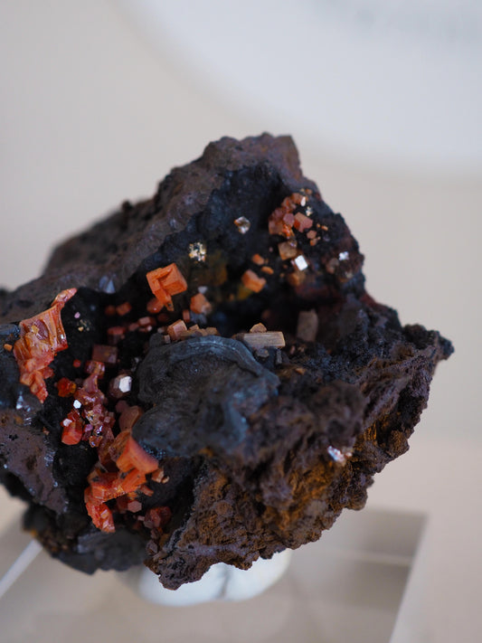 Vanadinit X Psilomelane X Goethite- aus Mibladen Bergbau Bezirk . Midelt. Marokko