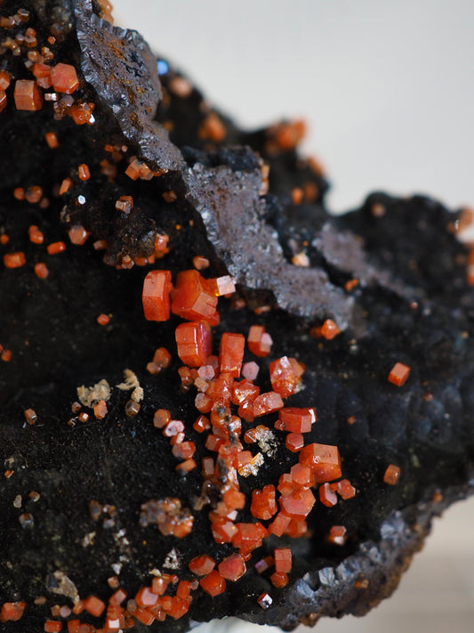 Vanadinit X Psilomelane X Goethite- aus Mibladen Bergbau Bezirk . Midelt. Marokko