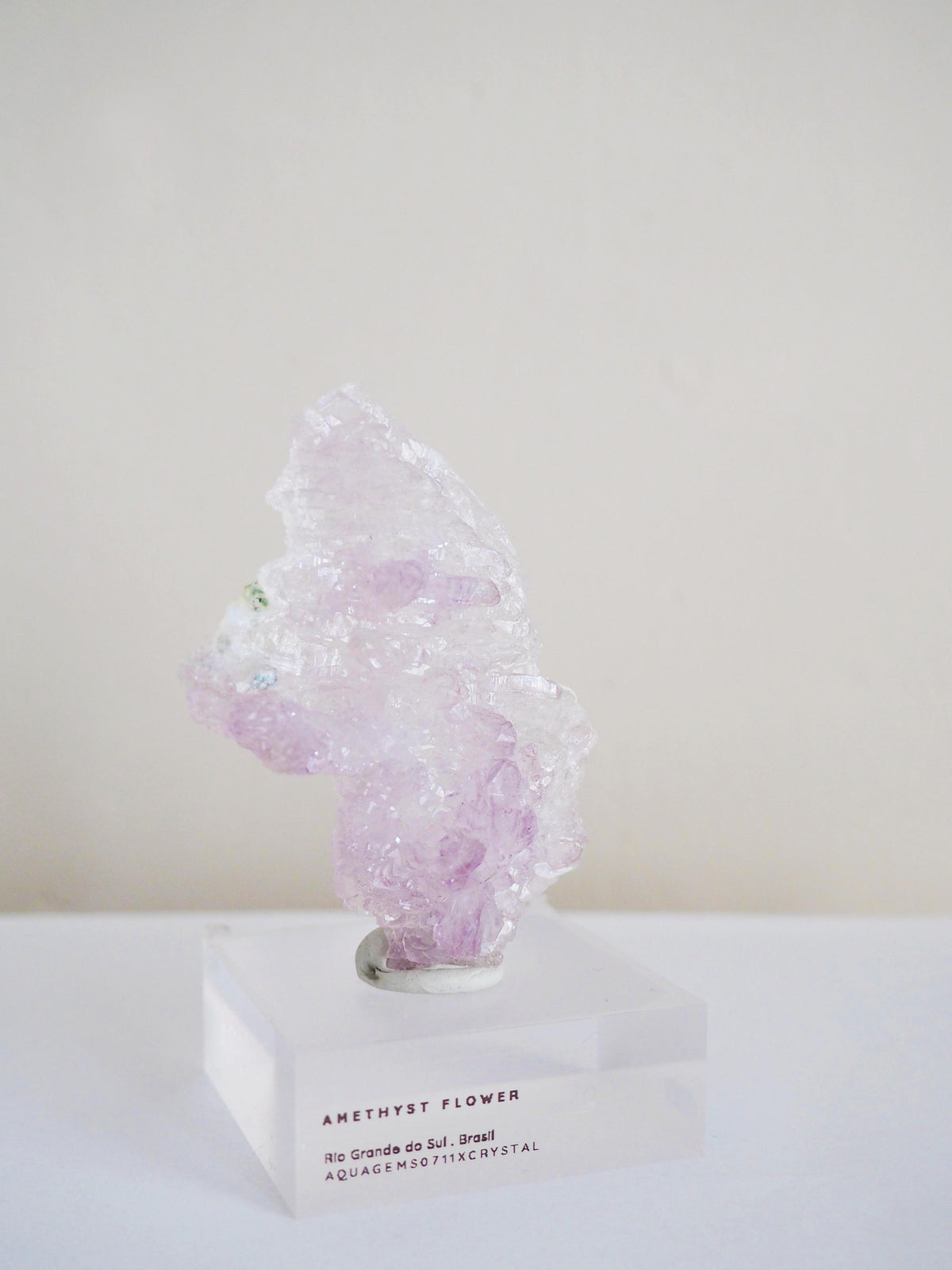 Amethyst Flower . Amethyst Blume Specimen - Rio Grande do Sul . Brasilien HIGH QUALITY