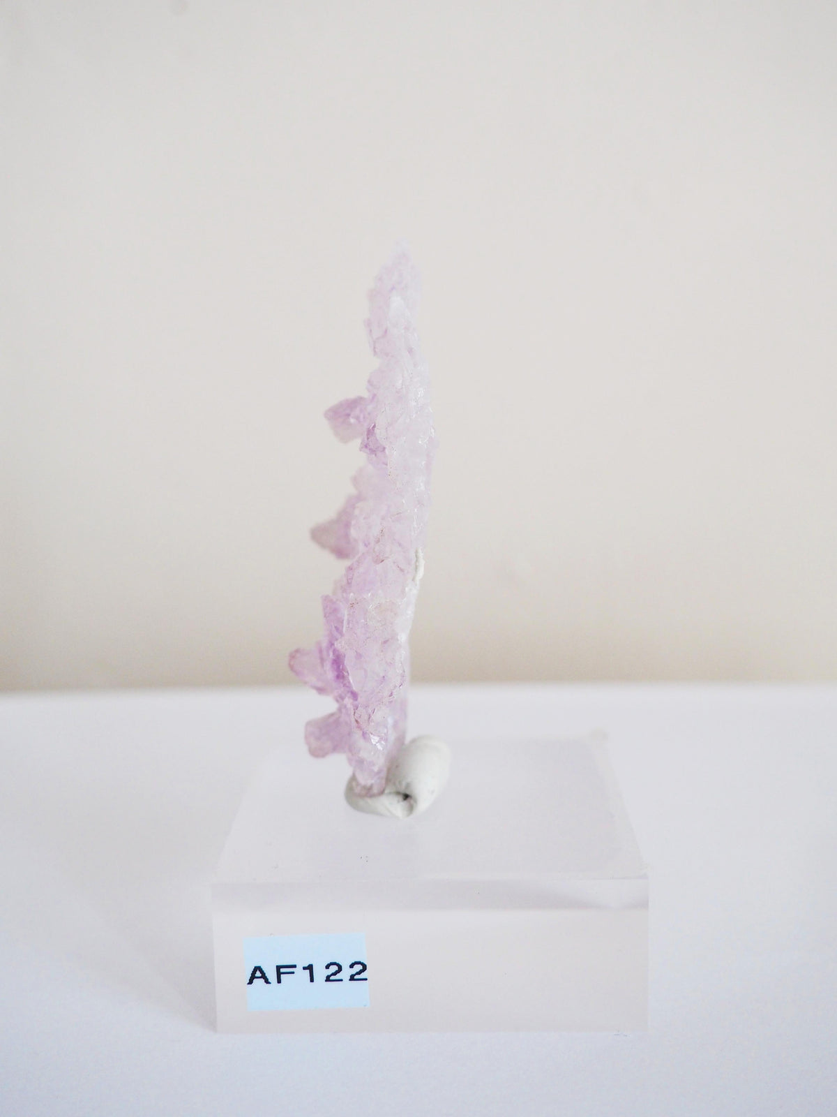 Amethyst Flower . Amethyst Blume Specimen - Rio Grande do Sul . Brasilien HIGH QUALITY