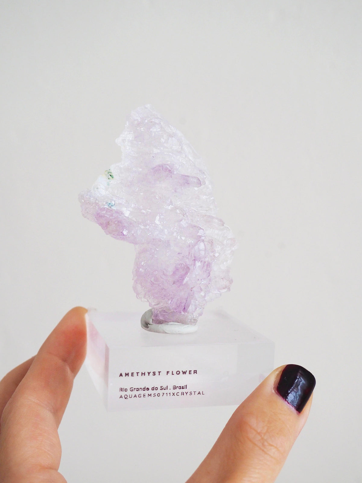 Amethyst Flower . Amethyst Blume Specimen - Rio Grande do Sul . Brasilien HIGH QUALITY
