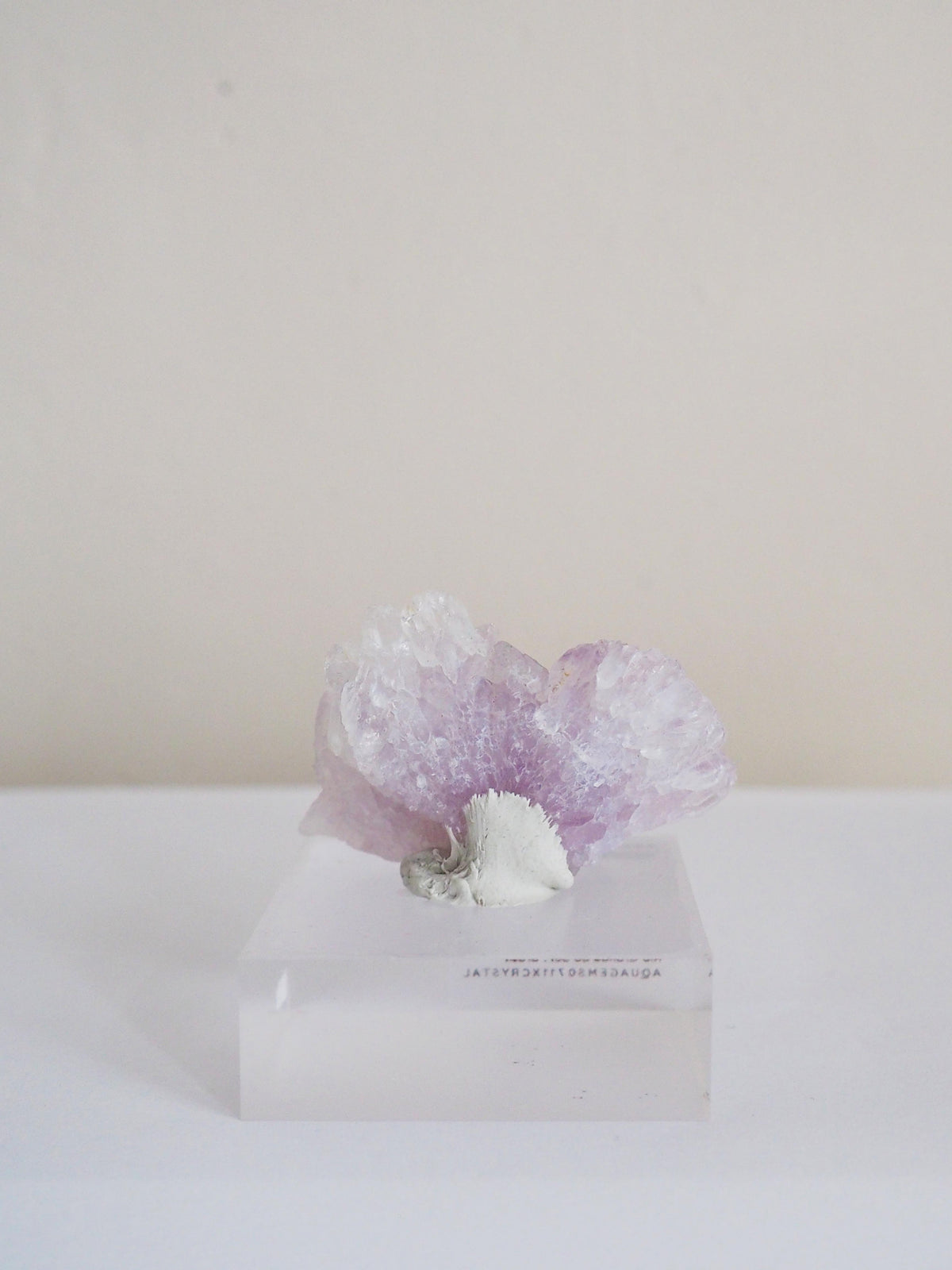 Amethyst Flower . Amethyst Blume Specimen - Rio Grande do Sul . Brasilien HIGH QUALITY