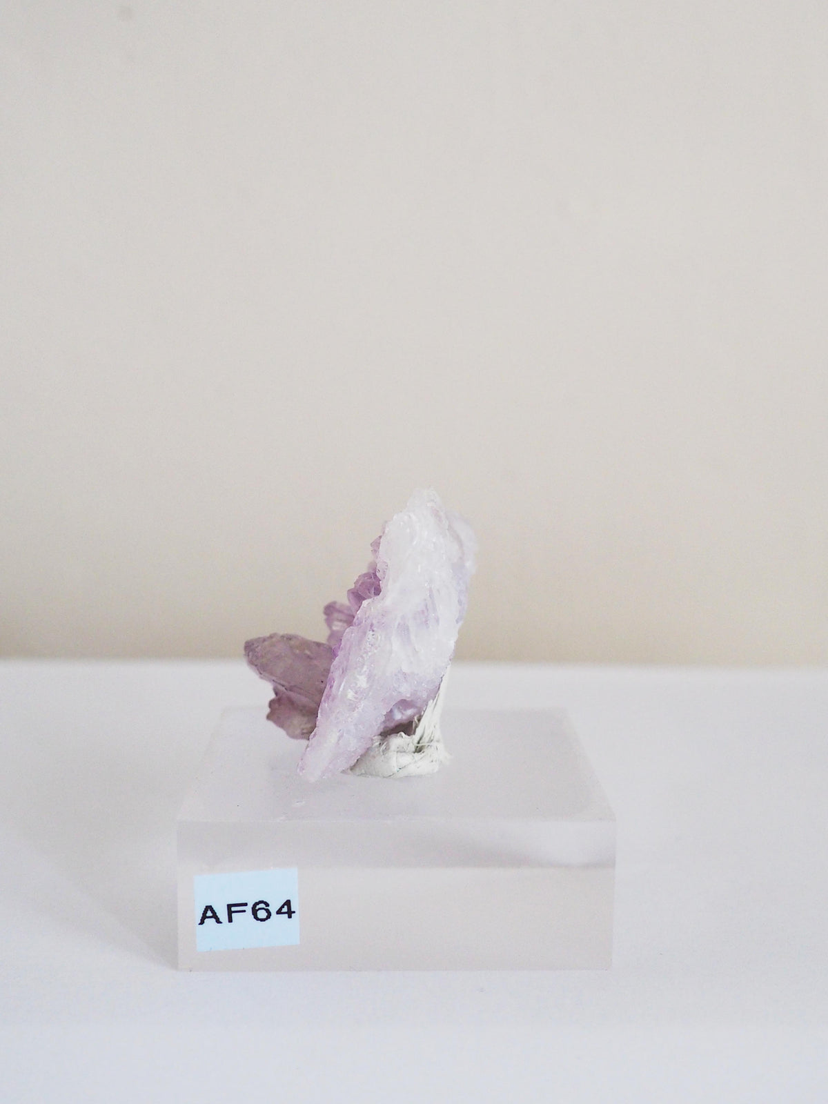 Amethyst Flower . Amethyst Blume Specimen - Rio Grande do Sul . Brasilien HIGH QUALITY