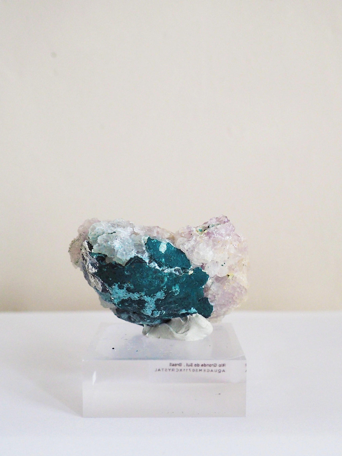 Amethyst Flower . Amethyst Blume Specimen - Rio Grande do Sul . Brasilien HIGH QUALITY