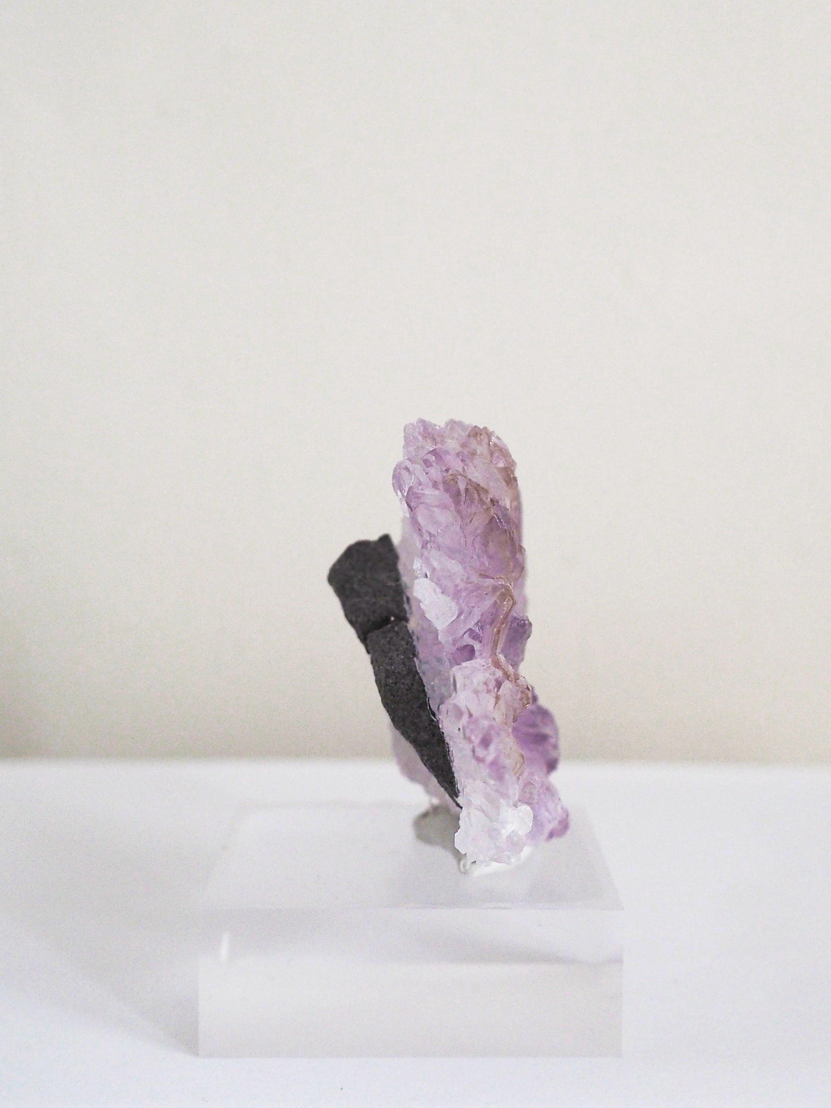 Amethyst Flower . Amethyst Blume Specimen - Rio Grande do Sul . Brasilien HIGH QUALITY