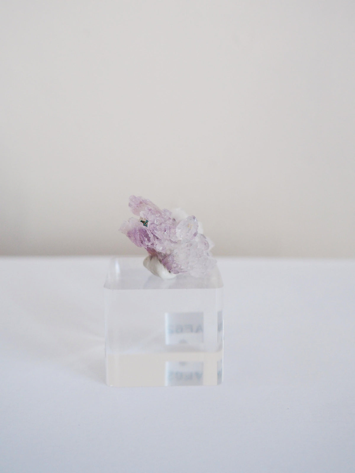 Amethyst Flower . Amethyst Blume Specimen - Rio Grande do Sul . Brasilien HIGH QUALITY