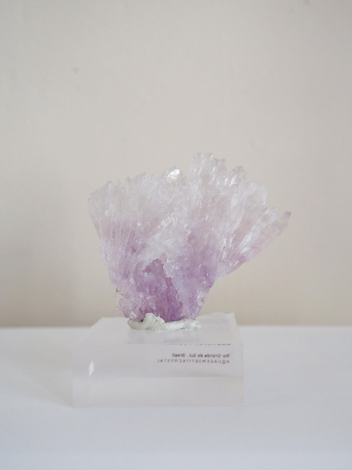 Amethyst Flower . Amethyst Blume Specimen - Rio Grande do Sul . Brasilien HIGH QUALITY