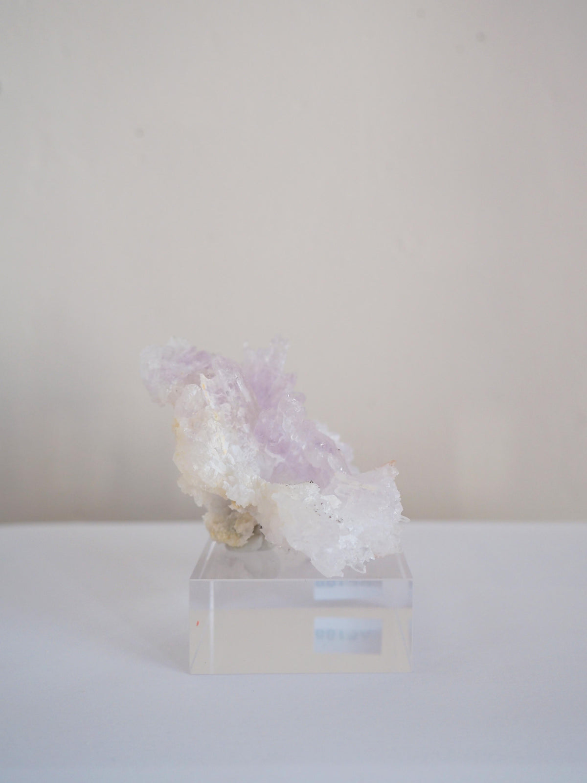 Amethyst Flower . Amethyst Blume Specimen - Rio Grande do Sul . Brasilien HIGH QUALITY