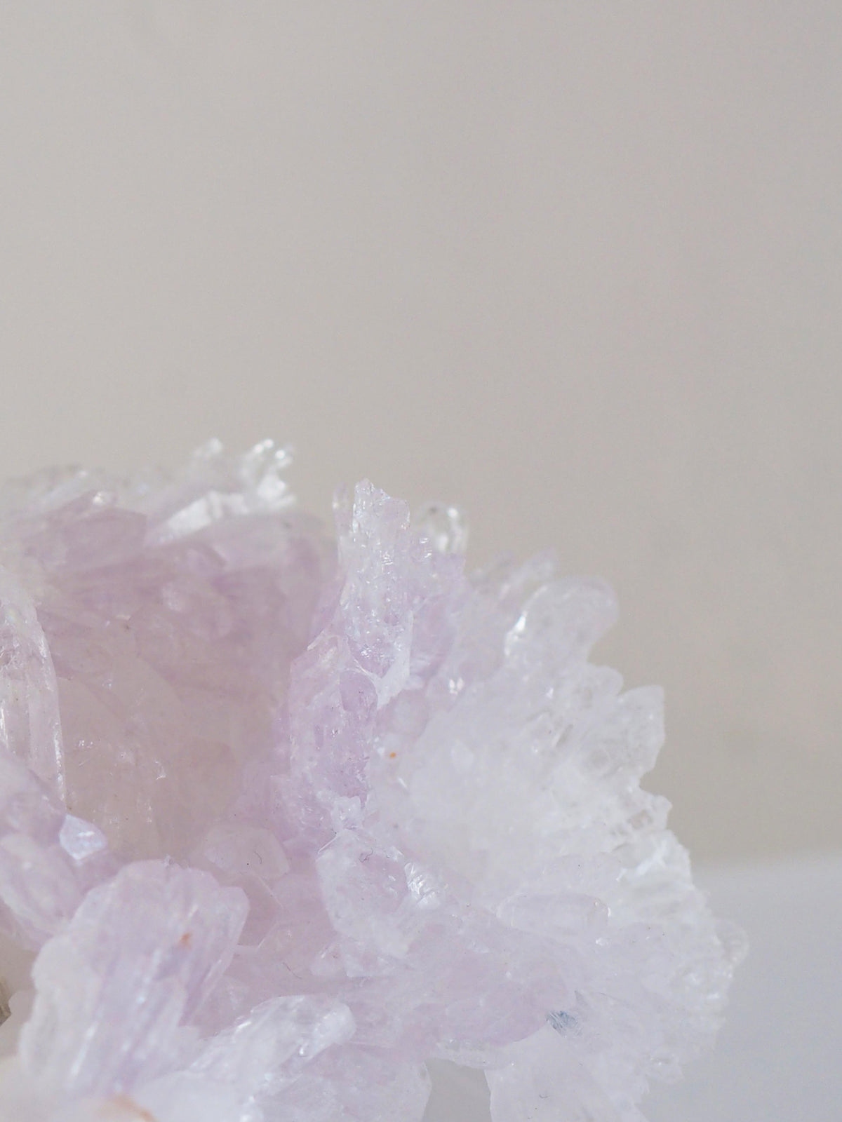 Amethyst Flower . Amethyst Blume Specimen - Rio Grande do Sul . Brasilien HIGH QUALITY