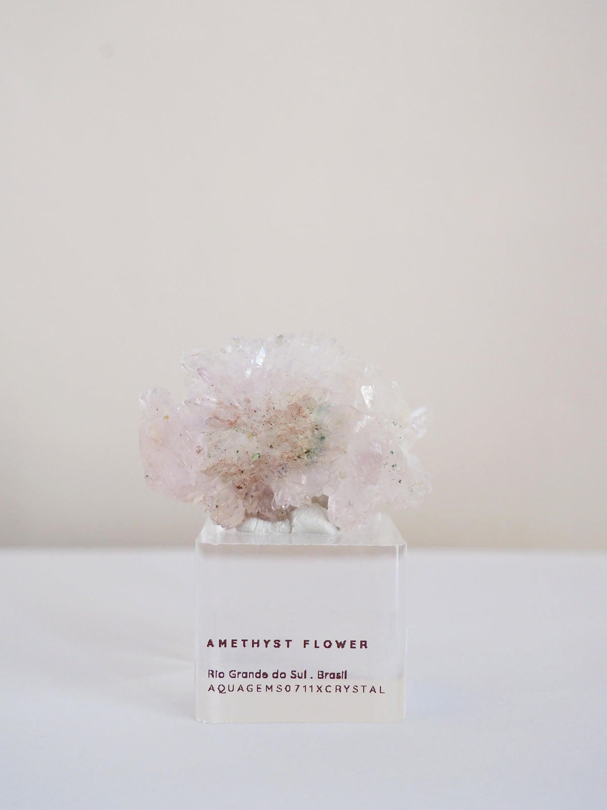 Amethyst Flower . Amethyst Blume Specimen - Rio Grande do Sul . Brasilien HIGH QUALITY