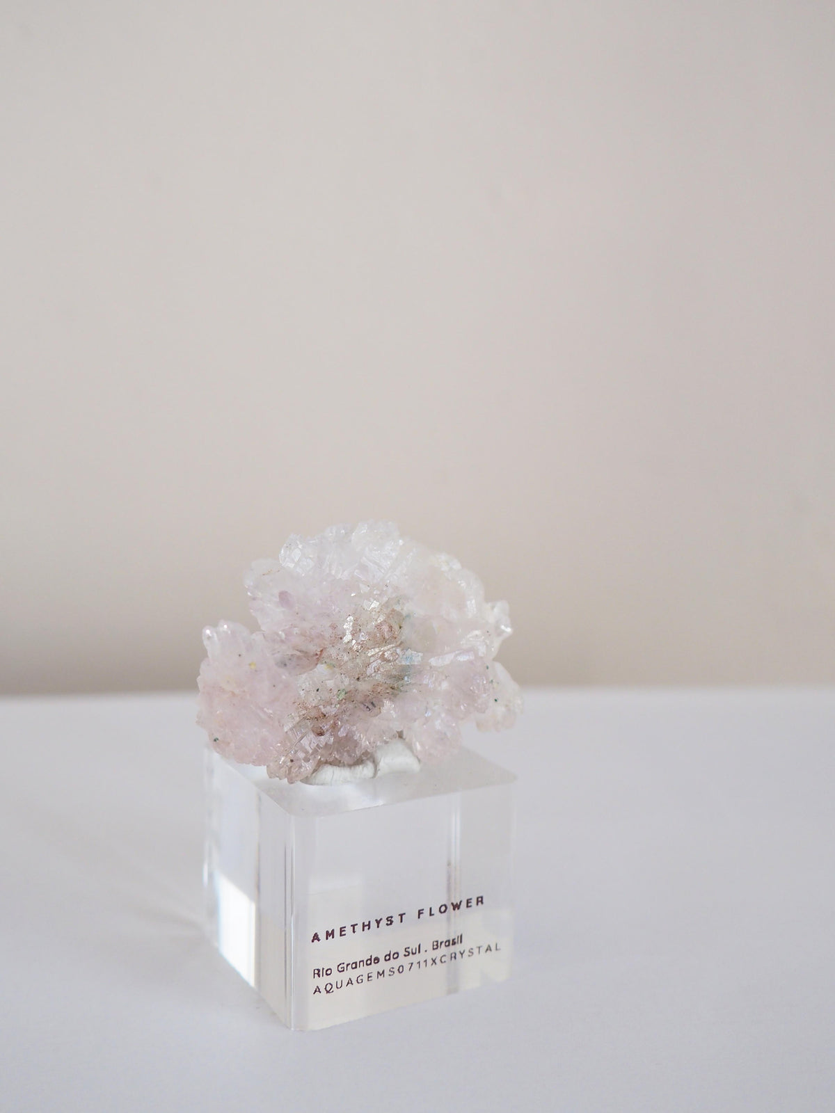 Amethyst Flower . Amethyst Blume Specimen - Rio Grande do Sul . Brasilien HIGH QUALITY